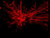 fireworks3.jpg (173094 bytes)